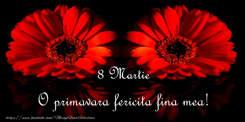 Felicitari de 8 Martie pentru Fina - O primavara fericita fina mea!