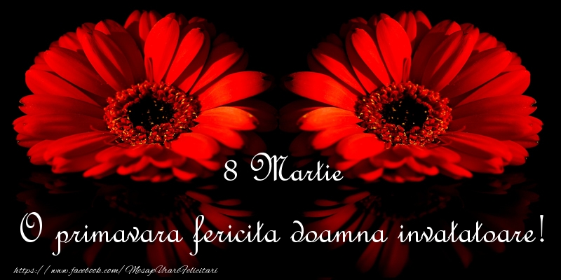 Felicitari de 8 Martie pentru Invatatoare - O primavara fericita doamna invatatoare!