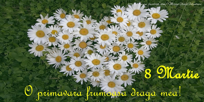 Felicitari de 8 Martie pentru Iubita - O primavara frumoasa draga mea! 8 Martie