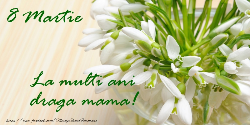 Felicitari de 8 Martie pentru Mama - 8 Martie La multi ani draga mama!
