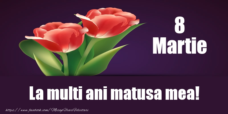 Felicitari de 8 Martie pentru Matusa - 8 Martie La multi ani matusa mea!