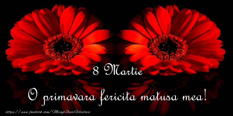 Felicitari de 8 Martie pentru Matusa - O primavara fericita matusa mea!