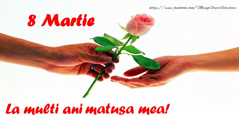 Felicitari de 8 Martie pentru Matusa - 8 Martie La multi ani matusa mea!