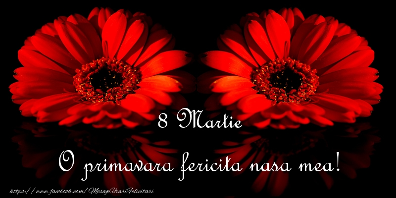 Felicitari de 8 Martie pentru Nasa - O primavara fericita nasa mea!