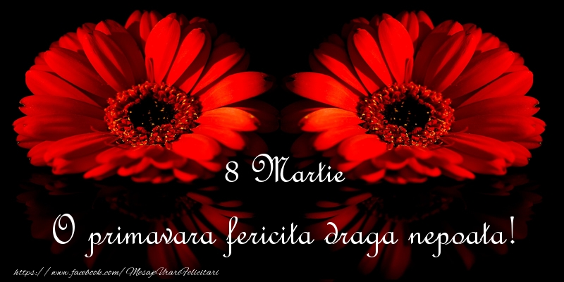 Felicitari de 8 Martie pentru Nepoata - O primavara fericita draga nepoata!