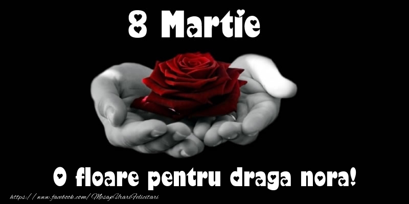 Felicitari de 8 Martie pentru Nora - 8 Martie O floare pentru draga nora!