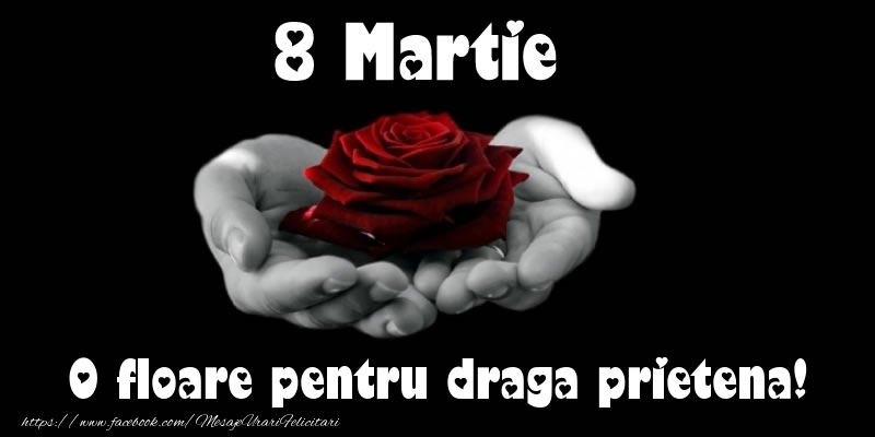 Felicitari de 8 Martie pentru Prietena - 8 Martie O floare pentru draga prietena!