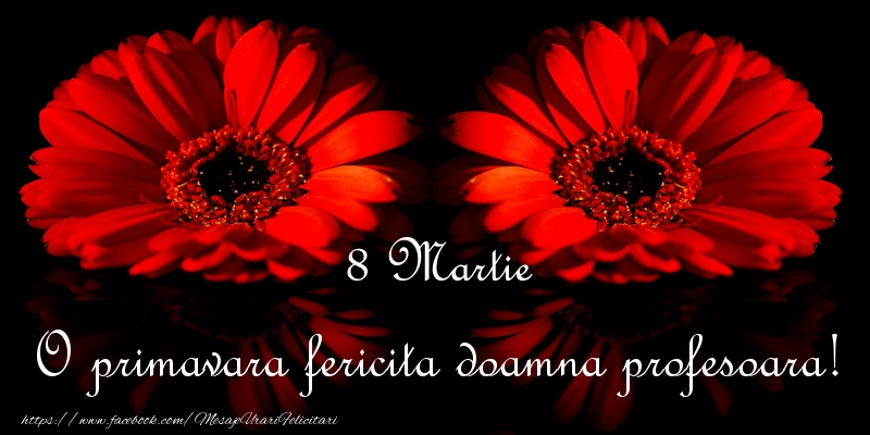 Felicitari de 8 Martie pentru Profesoara - O primavara fericita doamna profesoara!