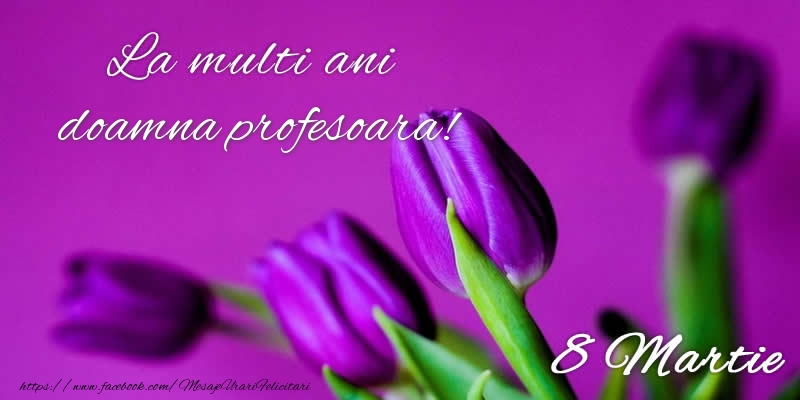 Felicitari de 8 Martie pentru Profesoara - La multi ani doamna profesoara! 8 Martie