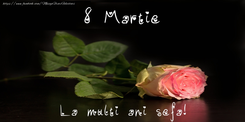 Felicitari de 8 Martie pentru Sefa - 8 Martie La multi ani sefa!