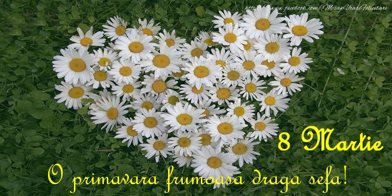 Felicitari de 8 Martie pentru Sefa - O primavara frumoasa draga sefa! 8 Martie