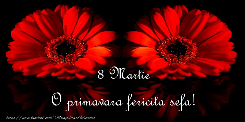 Felicitari de 8 Martie pentru Sefa - O primavara fericita sefa!