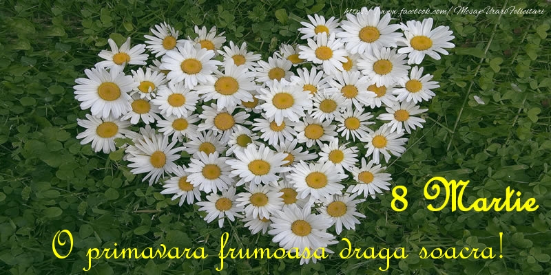 Felicitari de 8 Martie pentru Soacra - O primavara frumoasa draga soacra! 8 Martie