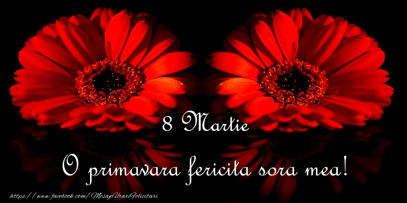 Felicitari de 8 Martie pentru Sora - O primavara fericita sora mea!
