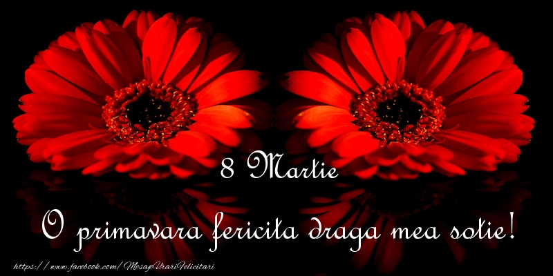 Felicitari de 8 Martie pentru Sotie - O primavara fericita draga mea sotie!