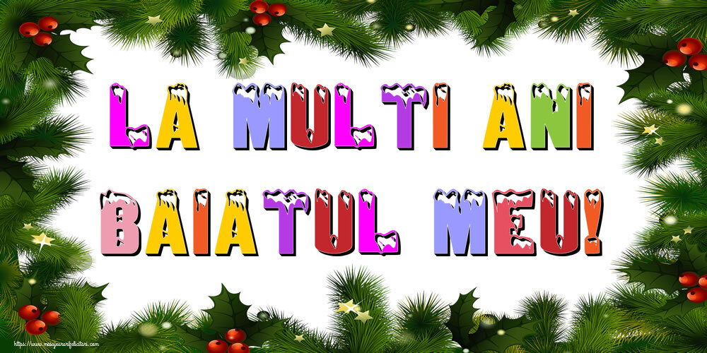 Felicitari de Anul Nou pentru Baiat - La multi ani baiatul meu!