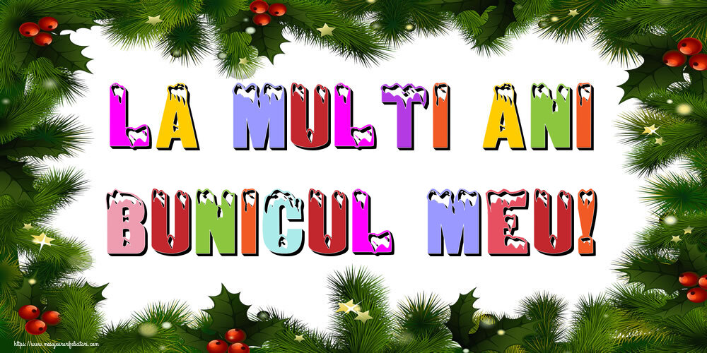 Felicitari de Anul Nou pentru Bunic - La multi ani bunicul meu!