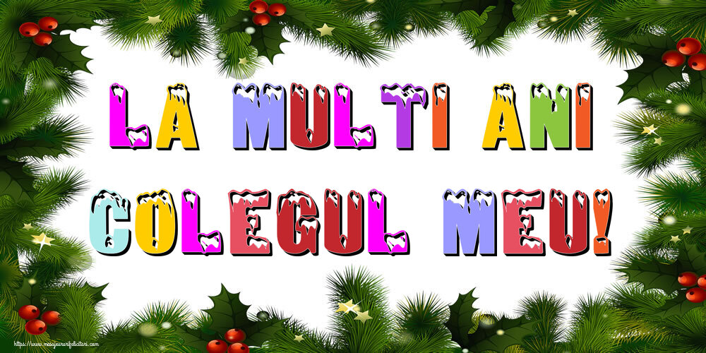 Felicitari de Anul Nou pentru Coleg - La multi ani colegul meu!