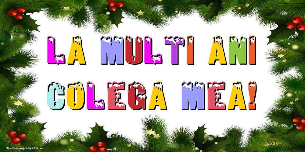 Felicitari de Anul Nou pentru Colega - La multi ani colega mea!