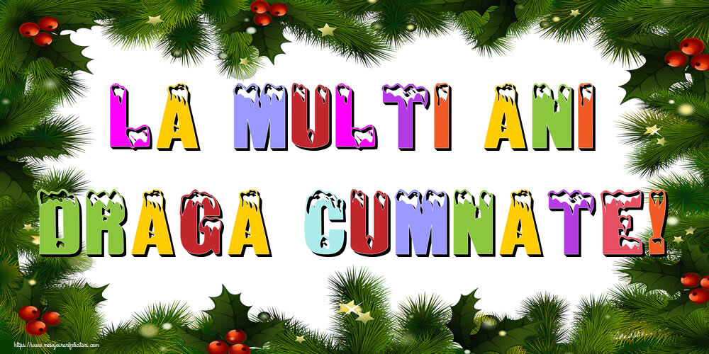 Felicitari de Anul Nou pentru Cumnat - La multi ani draga cumnate!