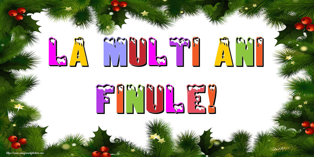 Felicitari de Anul Nou pentru Fin - La multi ani finule!