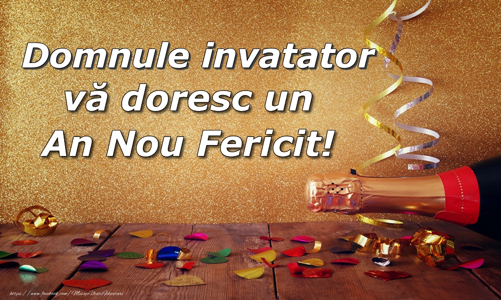 Felicitari de Anul Nou pentru Invatator - Domnule invatator vă doresc un An Nou Fericit!