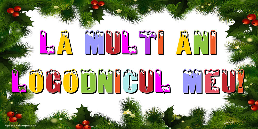 Felicitari de Anul Nou pentru Logodnic - La multi ani logodnicul meu!