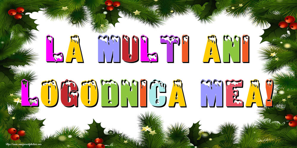 Felicitari de Anul Nou pentru Logodnica - La multi ani logodnica mea!