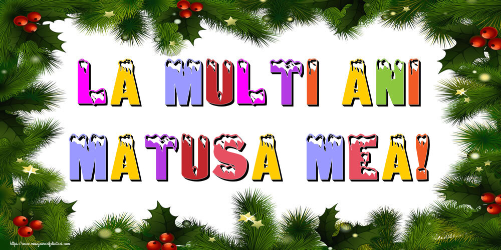 Felicitari de Anul Nou pentru Matusa - La multi ani matusa mea!