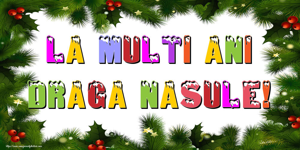 Felicitari de Anul Nou pentru Nas - La multi ani draga nasule!