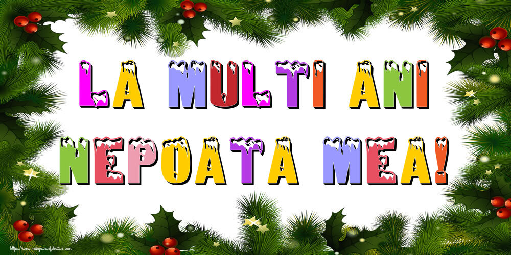 Felicitari de Anul Nou pentru Nepoata - La multi ani nepoata mea!