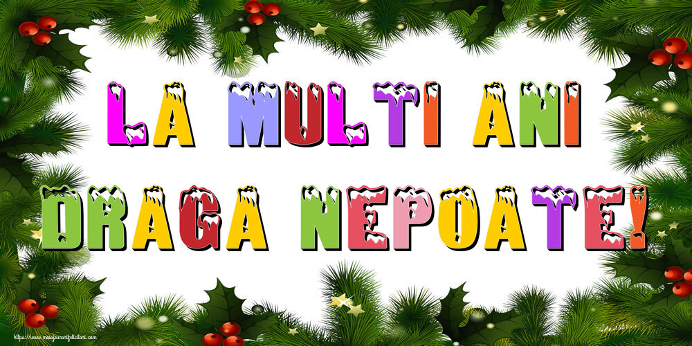 Felicitari de Anul Nou pentru Nepot - La multi ani draga nepoate!