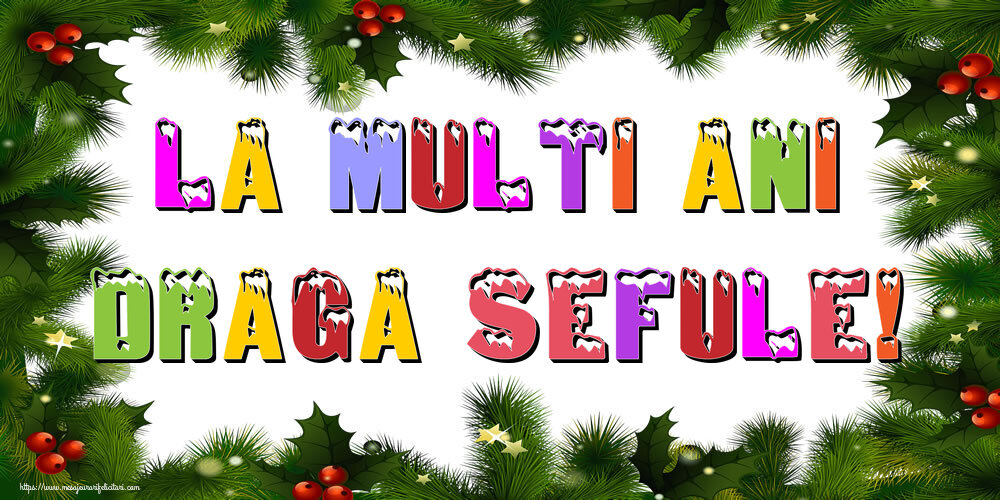 Felicitari de Anul Nou pentru Sef - La multi ani draga sefule!