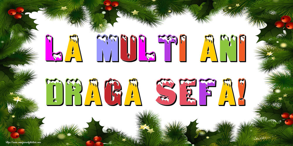 Felicitari de Anul Nou pentru Sefa - La multi ani draga sefa!