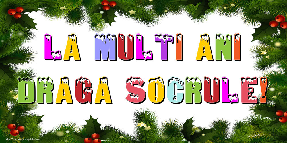 Felicitari de Anul Nou pentru Socru - La multi ani draga socrule!