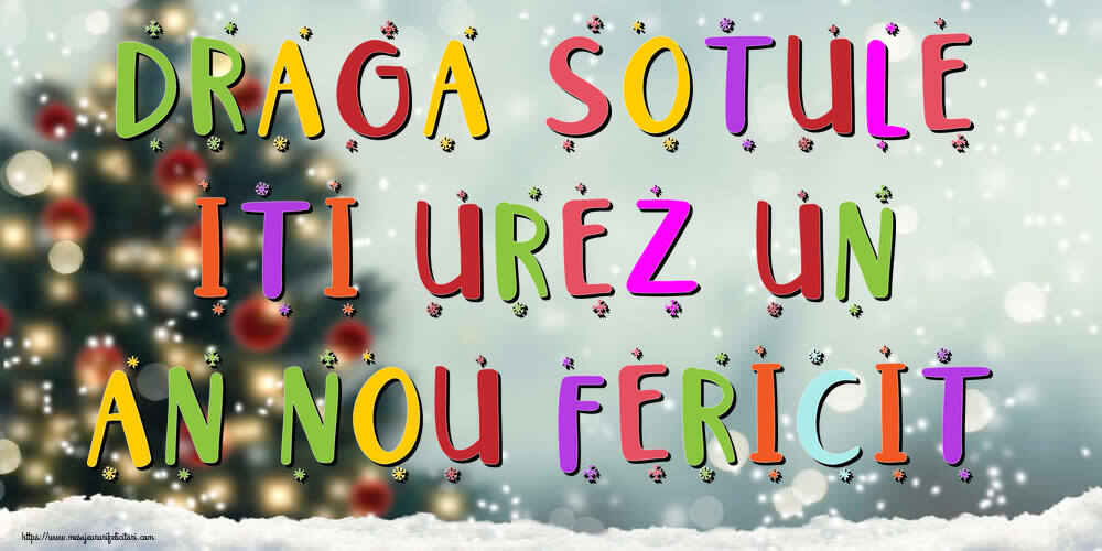 Felicitari de Anul Nou pentru Sot - Draga sotule, iti urez un An Nou Fericit!