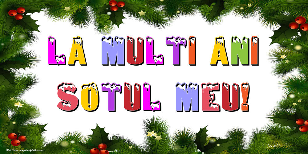 Felicitari de Anul Nou pentru Sot - La multi ani sotul meu!