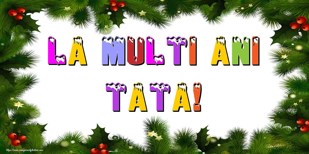Felicitari de Anul Nou pentru Tata - La multi ani tata!