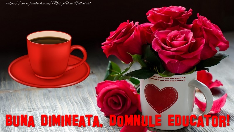 Felicitari de buna dimineata pentru Educator - Buna dimineata, domnule educator!