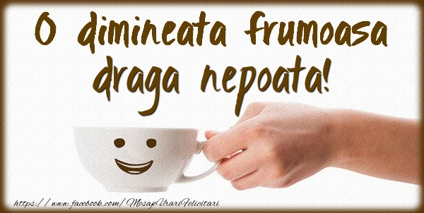 Buna dimineata O dimineata frumoasa draga nepoata!