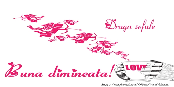 Felicitari de buna dimineata pentru Sef - Draga sefule Buna dimineata!