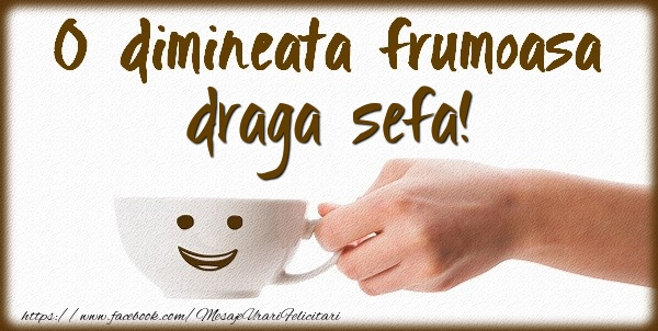 Felicitari de buna dimineata pentru Sefa - O dimineata frumoasa draga sefa!