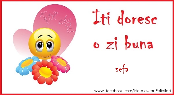 Buna dimineata O zi buna sefa