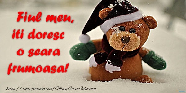 Felicitari de buna seara pentru Baiat - Fiul meu iti doresc o seara frumoasa!