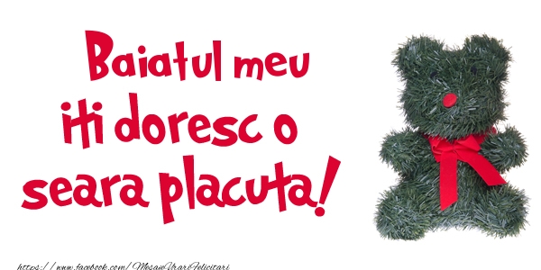 Felicitari de buna seara pentru Baiat - Fiul meu iti doresc  o seara placuta!