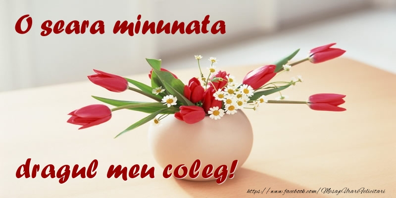 Felicitari de buna seara pentru Coleg - O seara minunata dragul meu coleg!
