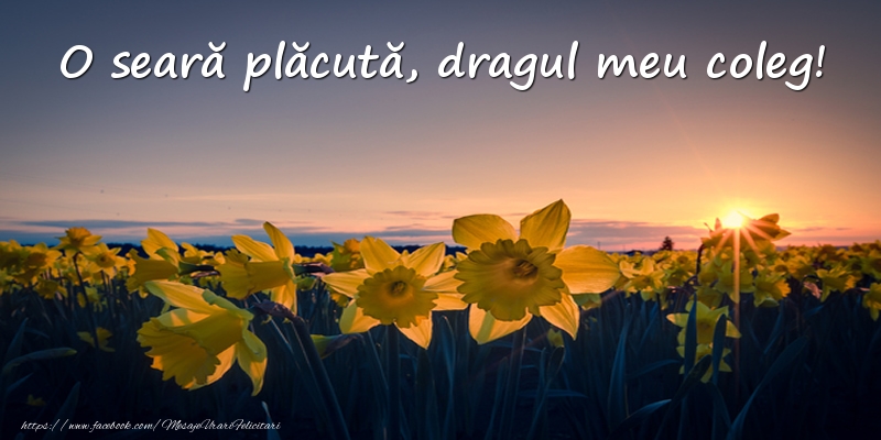 Felicitari de buna seara pentru Coleg - Flori: O seară plăcută, dragul meu coleg!