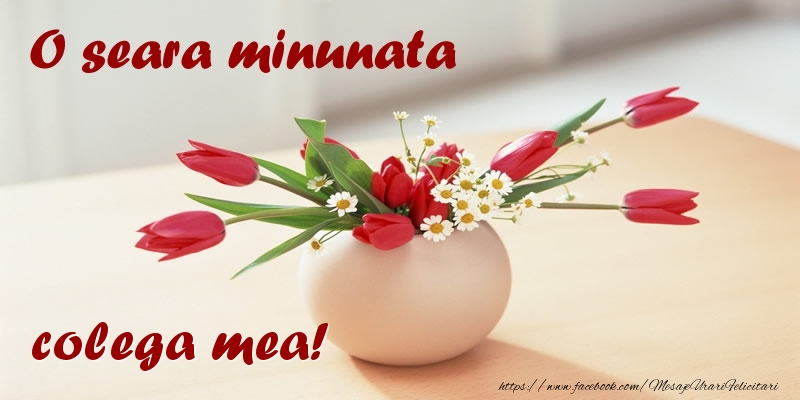 Felicitari de buna seara pentru Colega - O seara minunata colega mea!