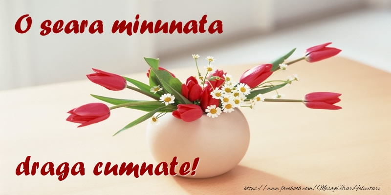 Felicitari de buna seara pentru Cumnat - O seara minunata draga cumnate!