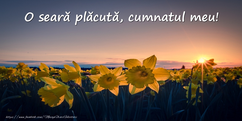 Felicitari de buna seara pentru Cumnat - Flori: O seară plăcută, cumnatul meu!